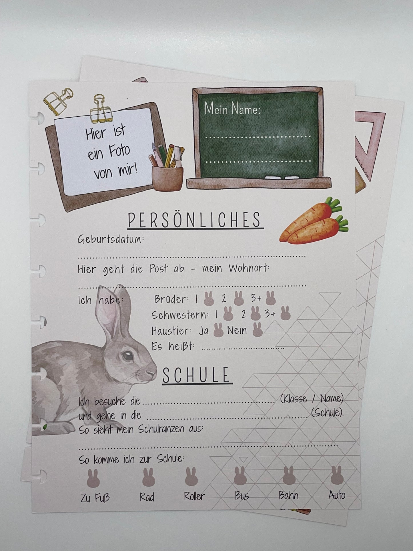 Schule | Hasenklasse