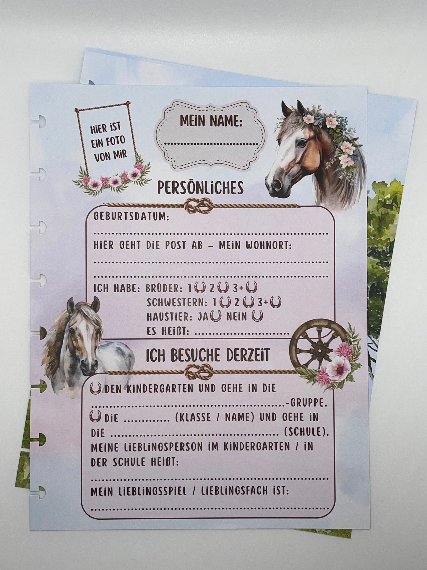 Kindergarten-Bundle | Schmetterling-Cover