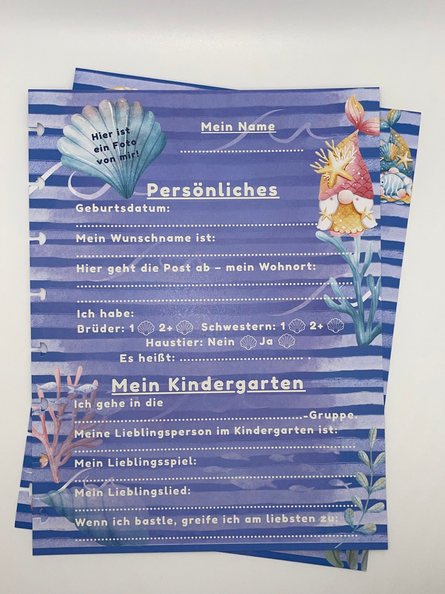 Kindergarten-Bundle | Schmetterling-Cover