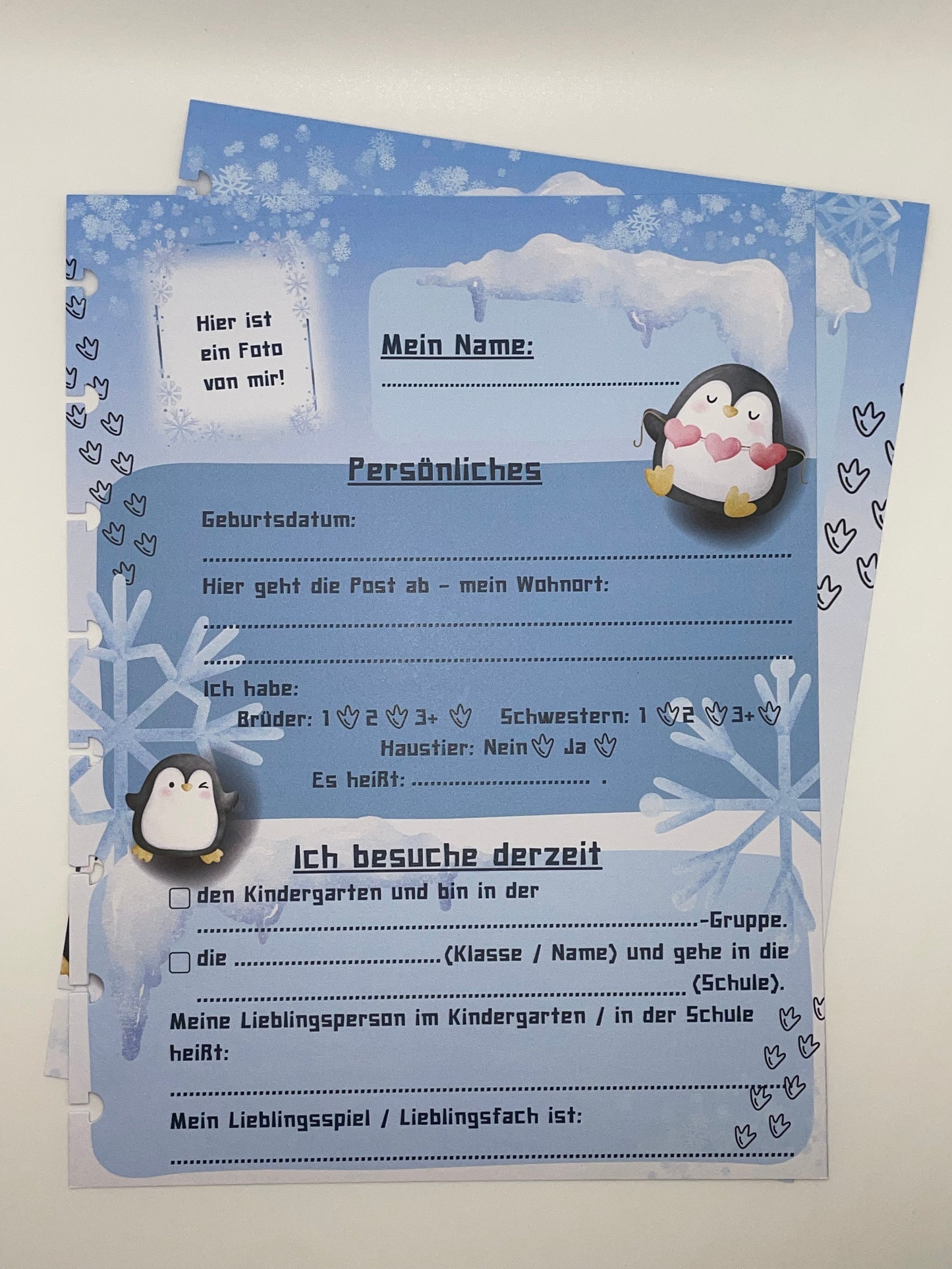 Kindergarten-Bundle | Schmetterling-Cover