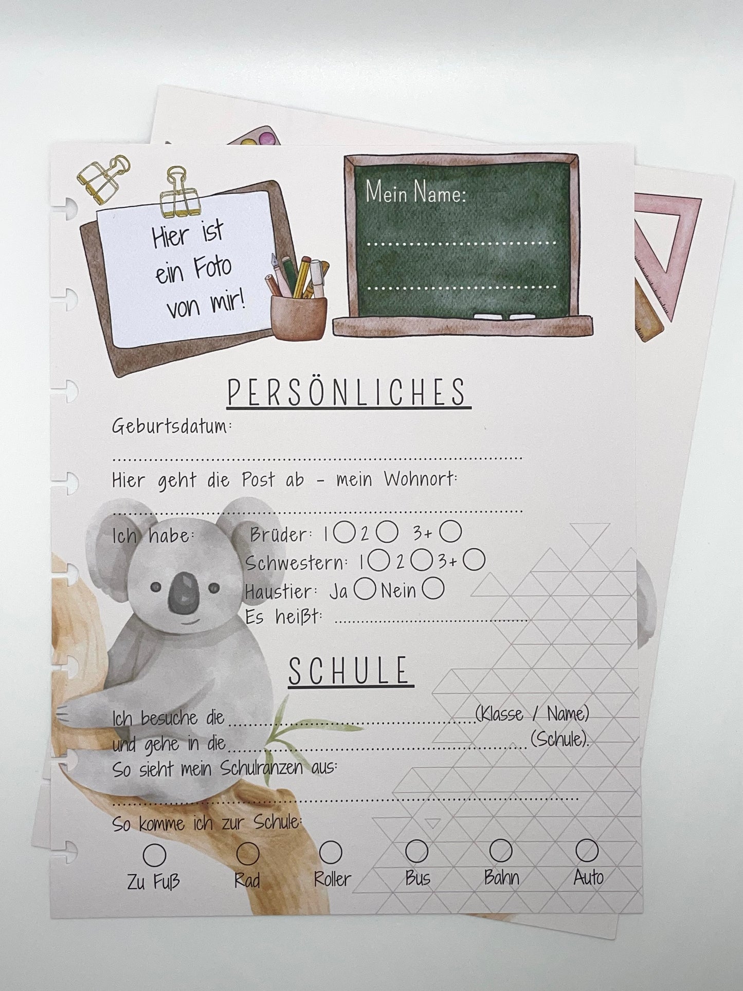 Schule | Koalaklasse